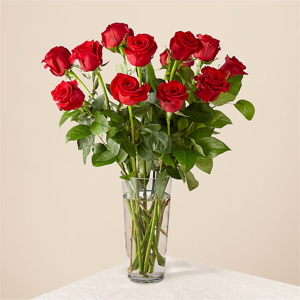 Long Stem Red Rose Bouquet – KEITH'S FLOWER SHOP, Mount Gilead OH