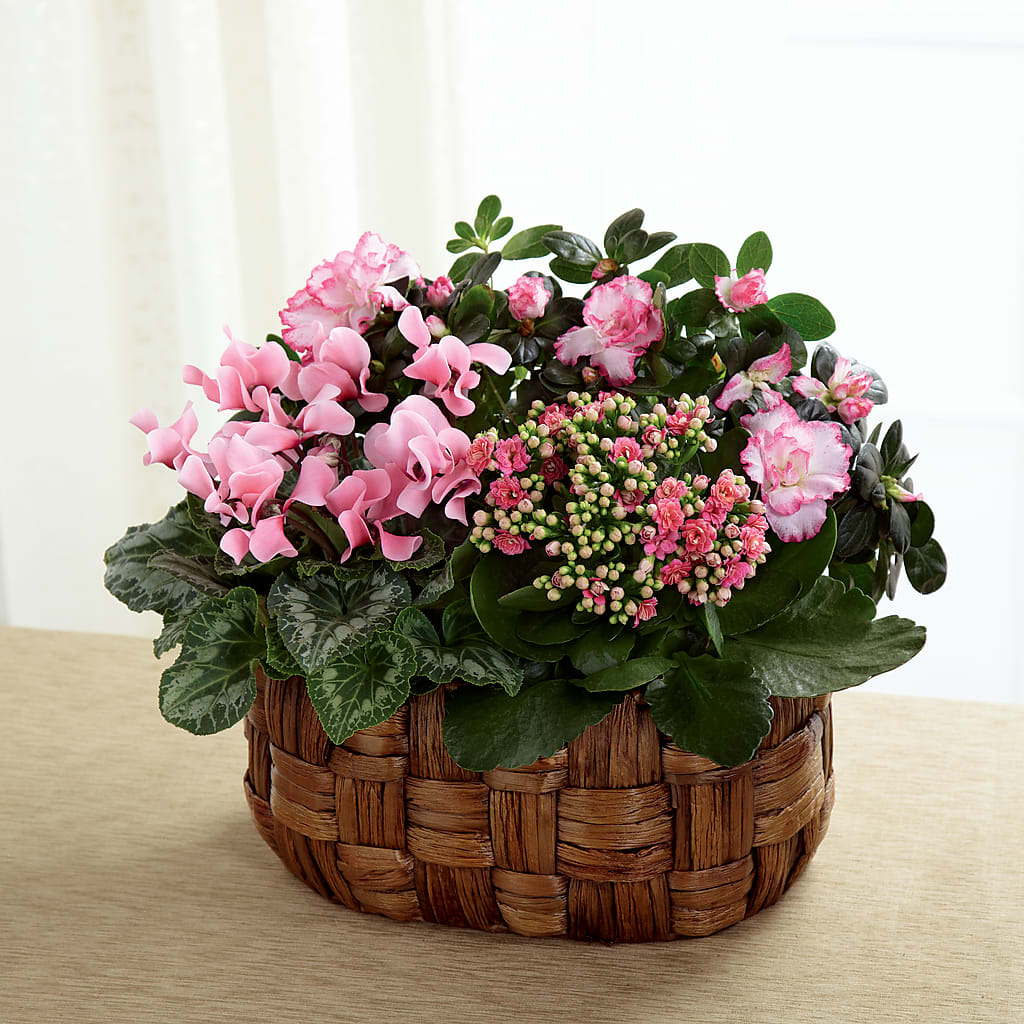 Pink Assortment – KEITH'S FLOWER SHOP, Mount Gilead OH