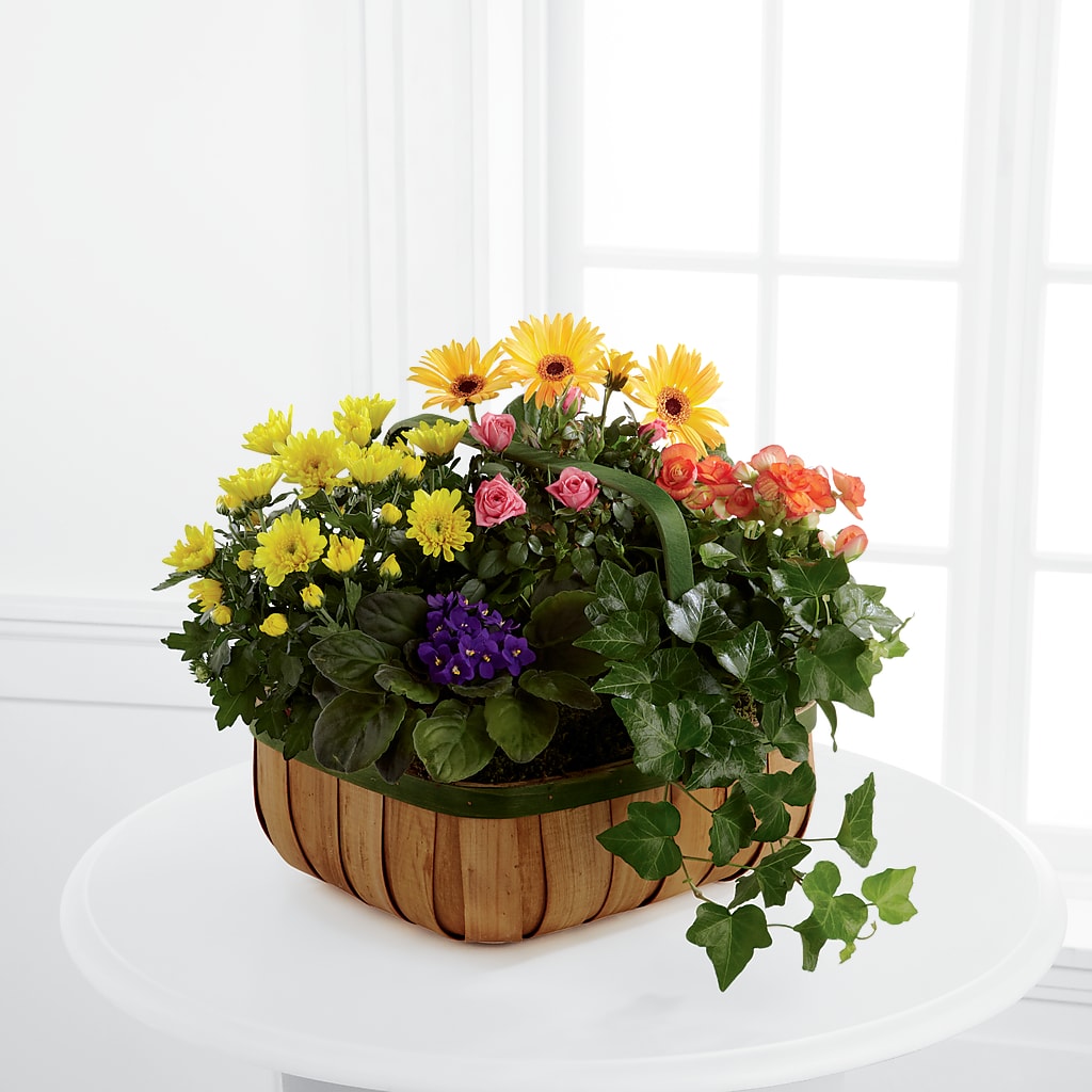 Gentle Blossoms Basket – KEITH'S FLOWER SHOP, Mount Gilead OH