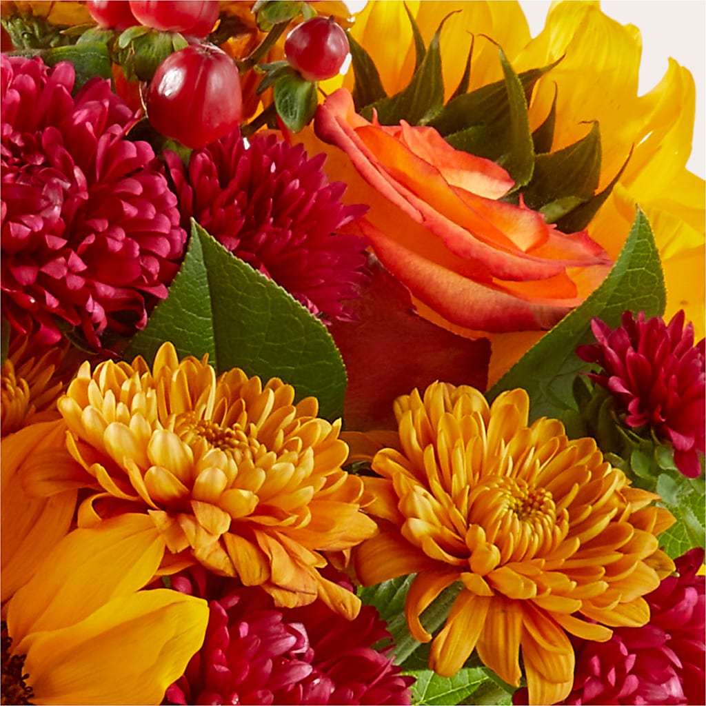 Sweater Season - A Florist Original – KEITH'S FLOWER SHOP, Mount Gilead OH