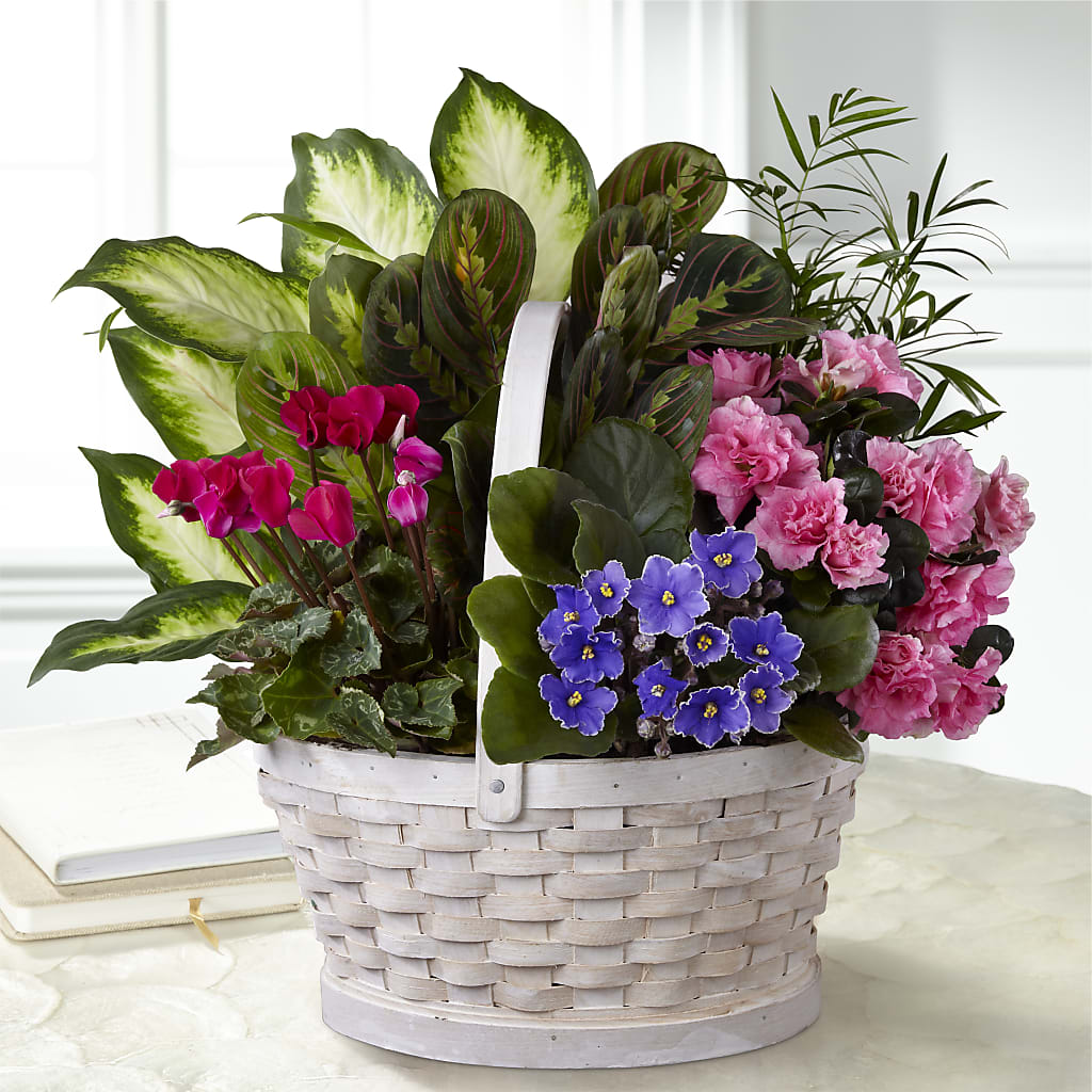 Peaceful Garden Planter – KEITH'S FLOWER SHOP, Mount Gilead OH