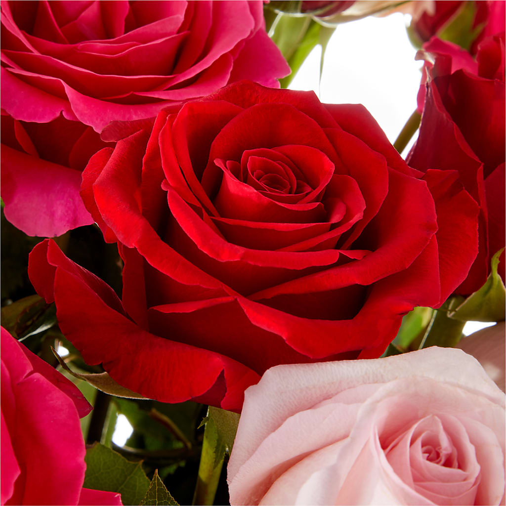 Love Notes Rose Bouquet – KEITH'S FLOWER SHOP, Mount Gilead OH
