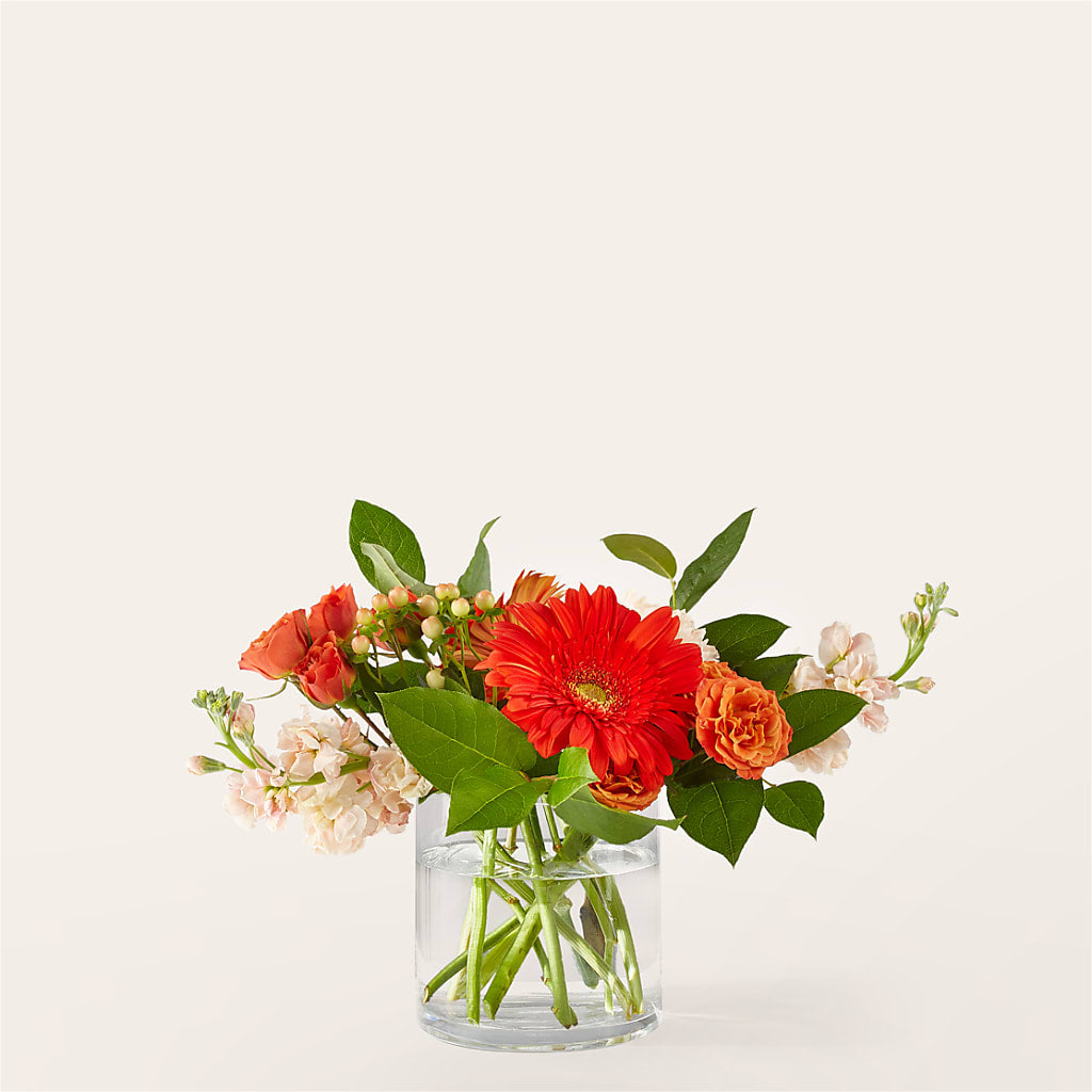 Paloma Please Bouquet – KEITH'S FLOWER SHOP, Mount Gilead OH