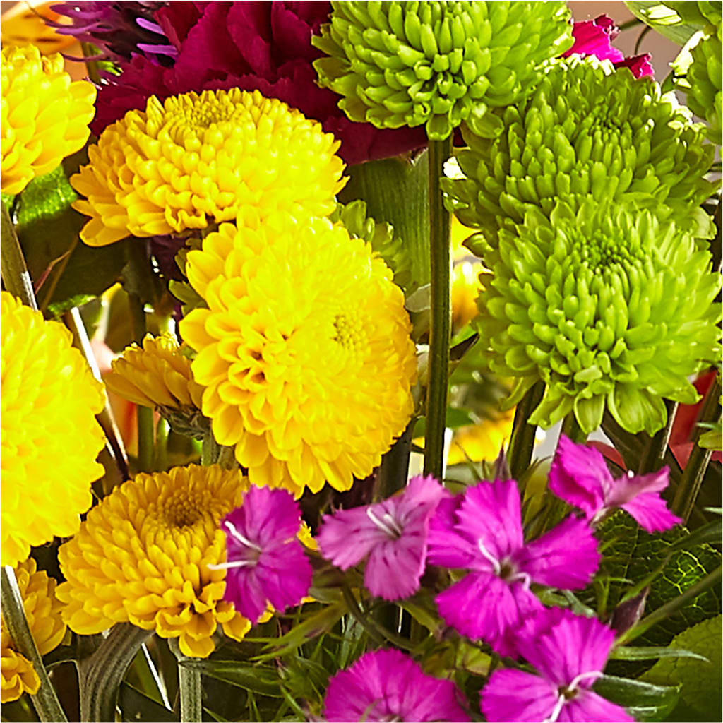 Bold & Bright – A Florist Original – KEITH'S FLOWER SHOP, Mount Gilead OH