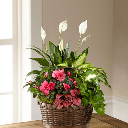 Dream in Pink Dishgarden – KEITH'S FLOWER SHOP, Mount Gilead OH
