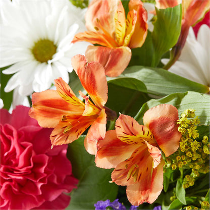 Oopsie Daisy Box Bouquet – KEITH'S FLOWER SHOP, Mount Gilead OH