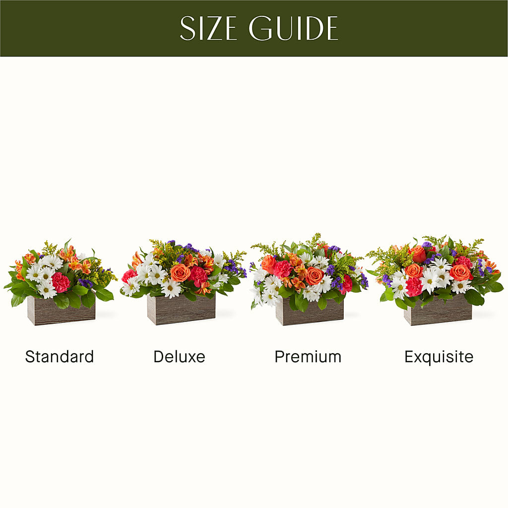 Oopsie Daisy Box Bouquet – KEITH'S FLOWER SHOP, Mount Gilead OH