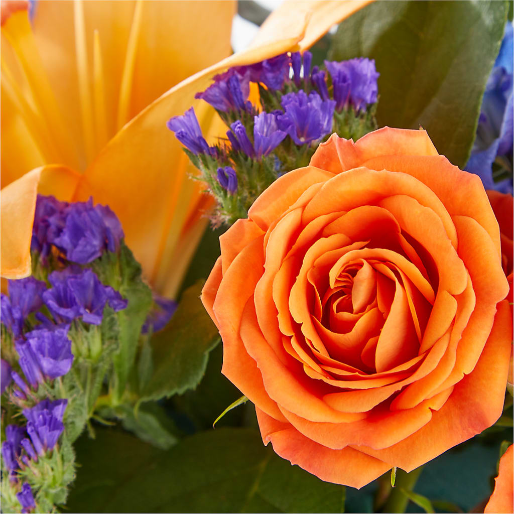 Radiant Citrus Box Bouquet – KEITH'S FLOWER SHOP, Mount Gilead OH