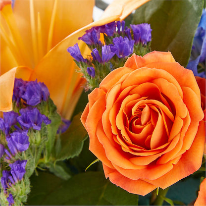 Radiant Citrus Box Bouquet – KEITH'S FLOWER SHOP, Mount Gilead OH