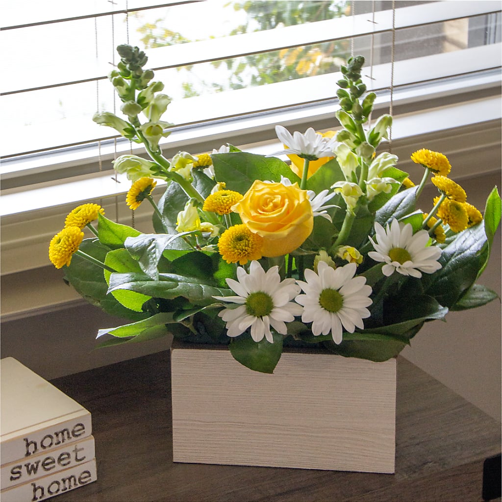 Sun Salutation Box Bouquet – KEITH'S FLOWER SHOP, Mount Gilead OH