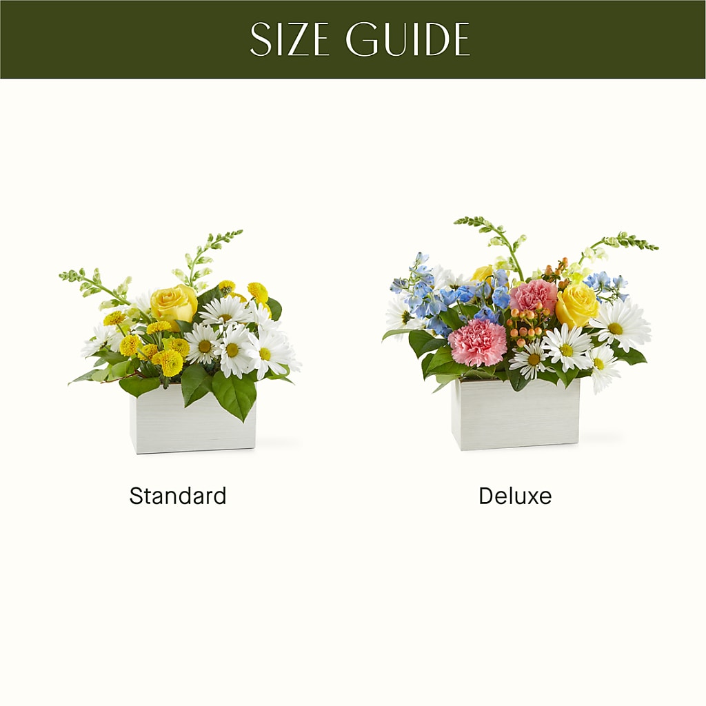 Sun Salutation Box Bouquet – KEITH'S FLOWER SHOP, Mount Gilead OH