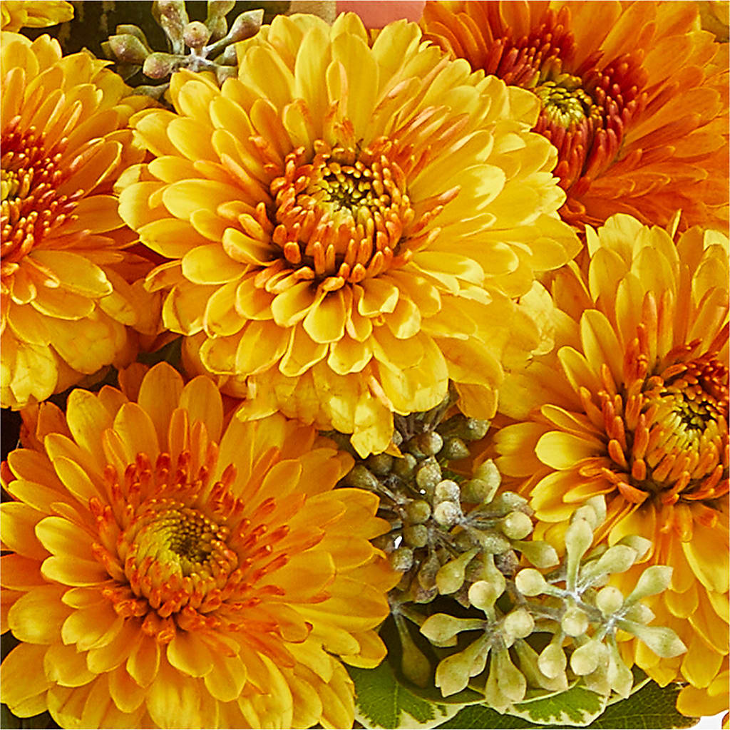 Peachy Pumpkin – KEITH'S FLOWER SHOP, Mount Gilead OH