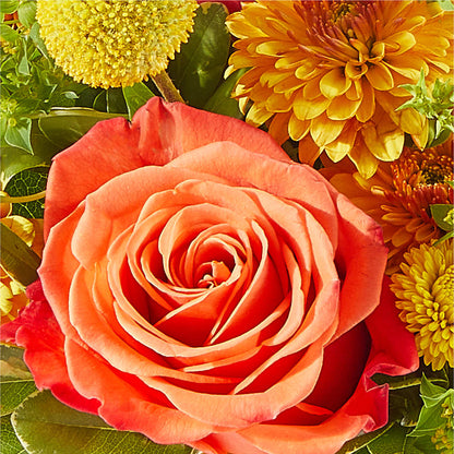 Gourdgeous Pumpkin – KEITH'S FLOWER SHOP, Mount Gilead OH