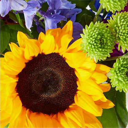 Catching Rays Bouquet – KEITH'S FLOWER SHOP, Mount Gilead OH