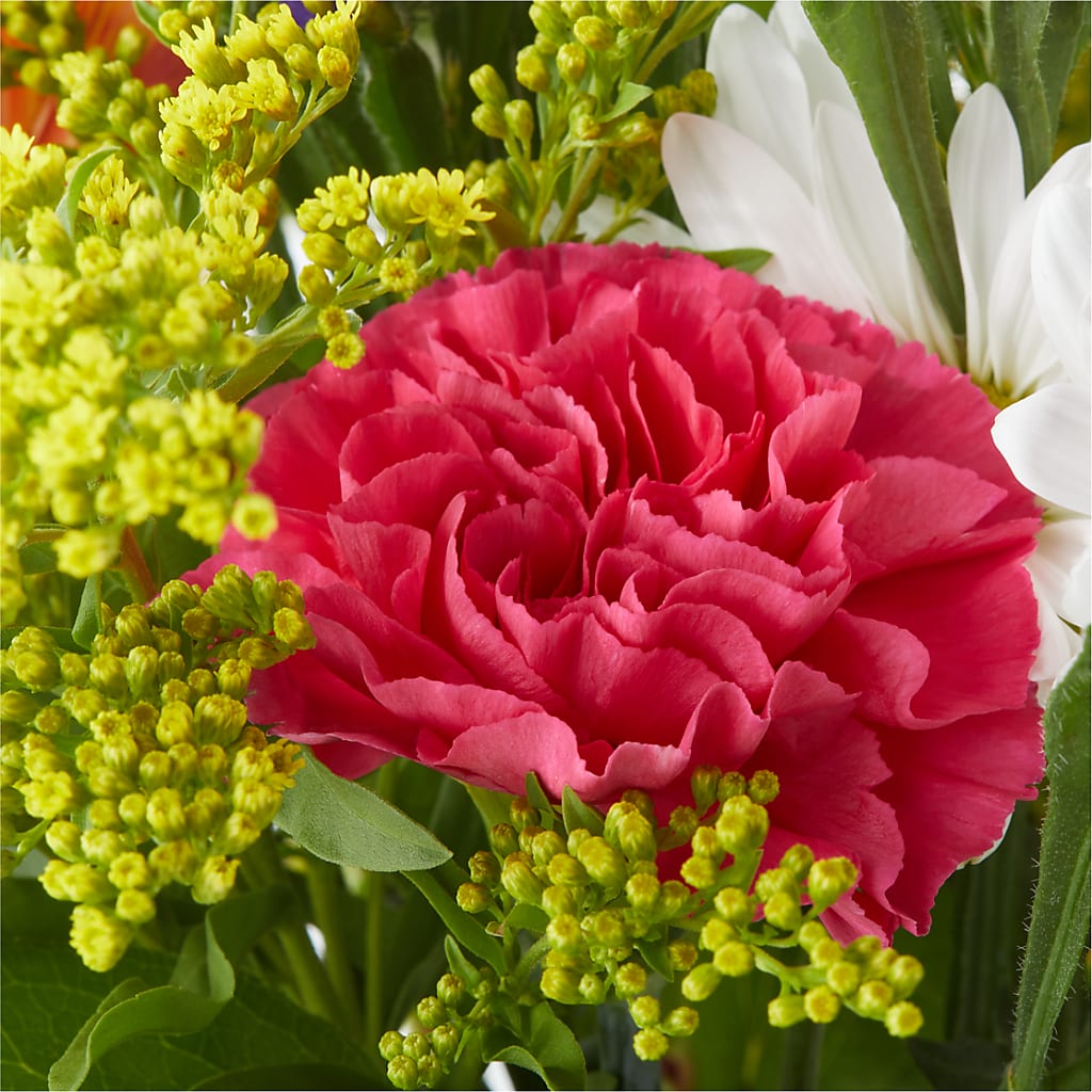 Oopsie Daisy Bouquet – KEITH'S FLOWER SHOP, Mount Gilead OH