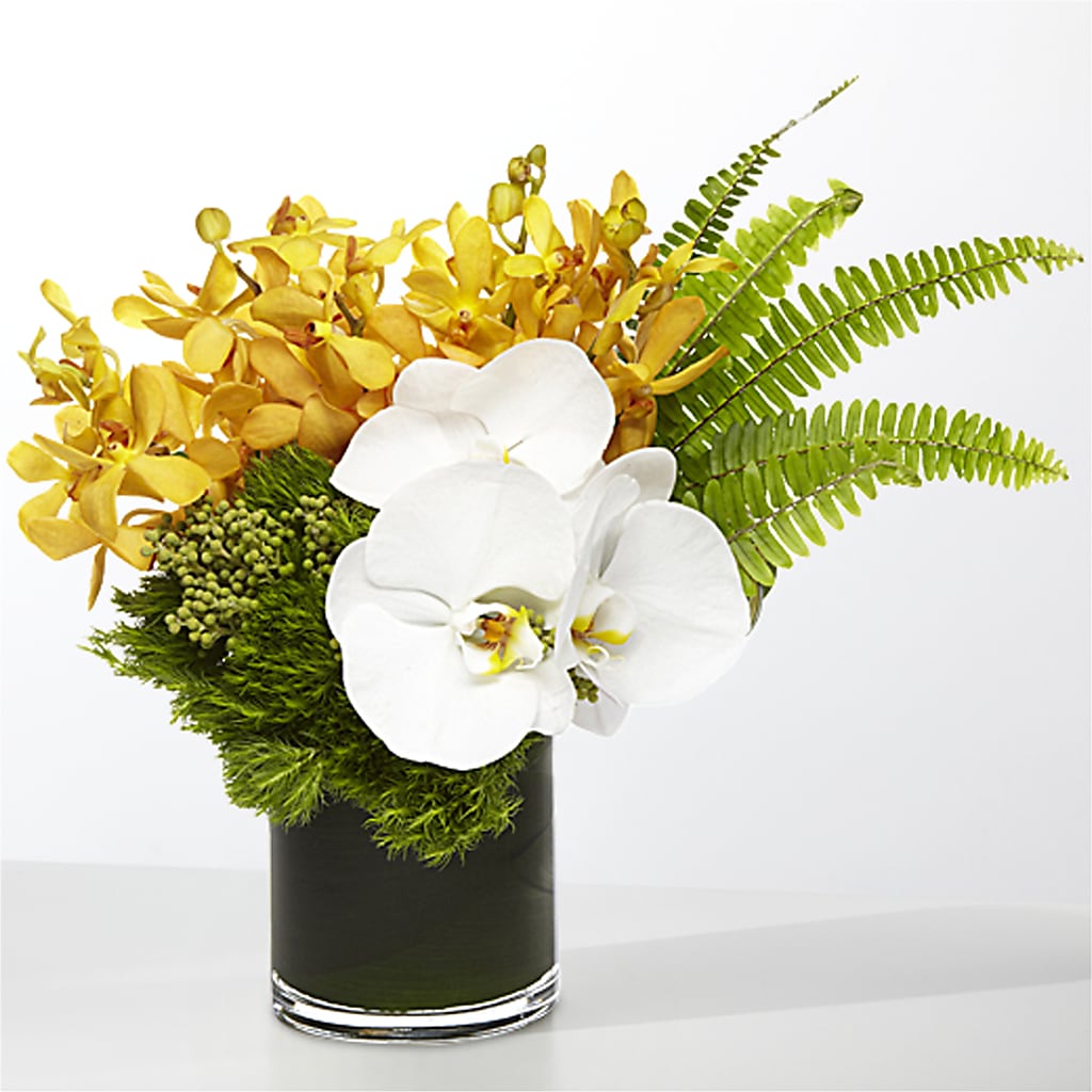 The Tropics – KEITH'S FLOWER SHOP, Mount Gilead OH