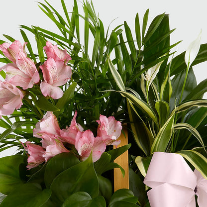 Living Spirit Dishgarden – KEITH'S FLOWER SHOP, Mount Gilead OH