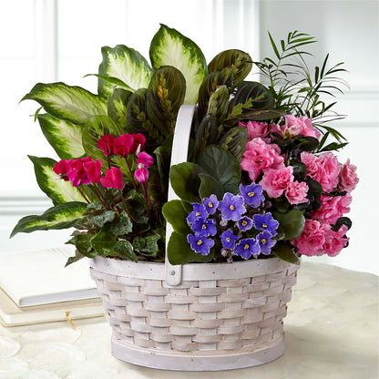 Peaceful Garden Planter – KEITH'S FLOWER SHOP, Mount Gilead OH