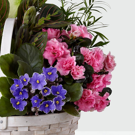 Peaceful Garden Planter – KEITH'S FLOWER SHOP, Mount Gilead OH
