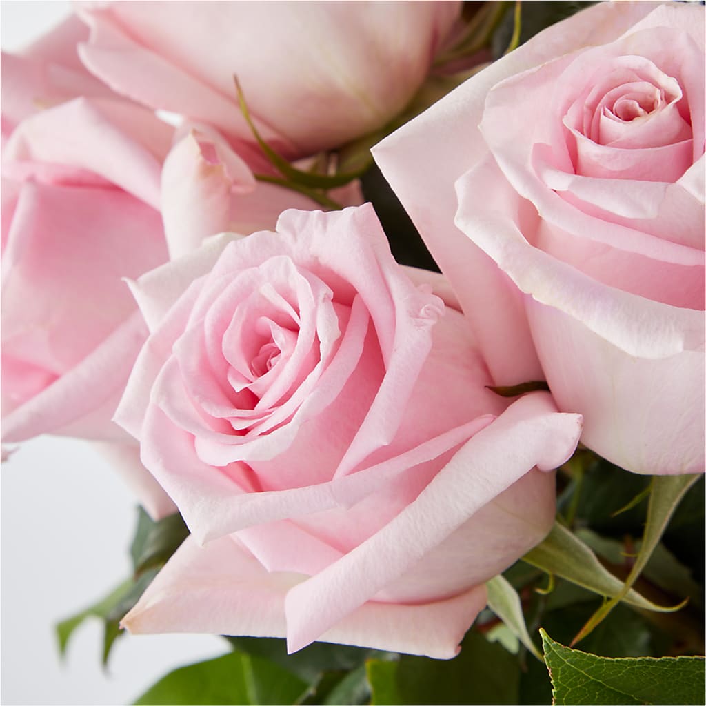 Picture Perfect Pink Rose Bouquet – KEITH'S FLOWER SHOP, Mount Gilead OH