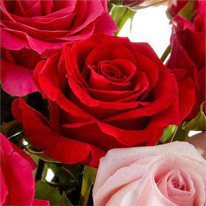 Love Notes Rose Bouquet – KEITH'S FLOWER SHOP, Mount Gilead OH