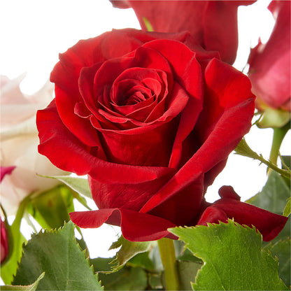 Love Notes Rose Bouquet – KEITH'S FLOWER SHOP, Mount Gilead OH