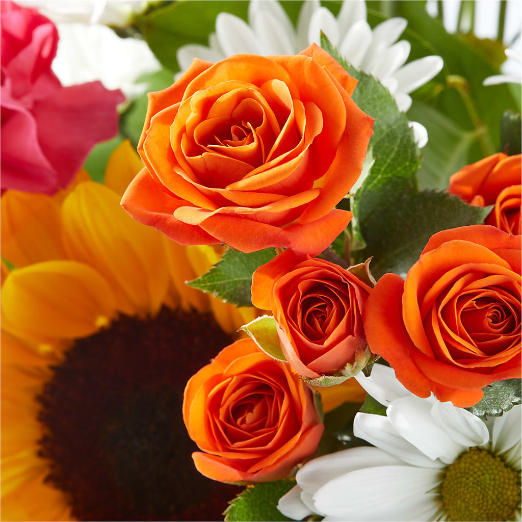 Sun-drenched Blooms Bouquet – KEITH'S FLOWER SHOP, Mount Gilead OH
