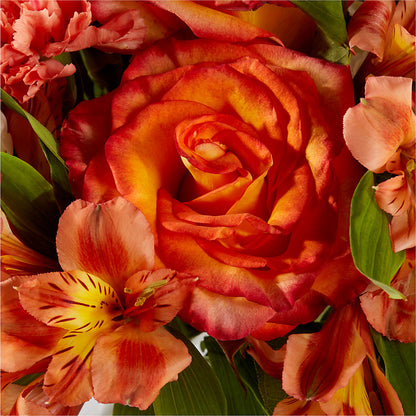 Apricot Glow Bouquet – KEITH'S FLOWER SHOP, Mount Gilead OH