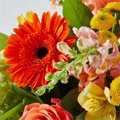 Autumn Sunshine Bouquet – KEITH'S FLOWER SHOP, Mount Gilead OH