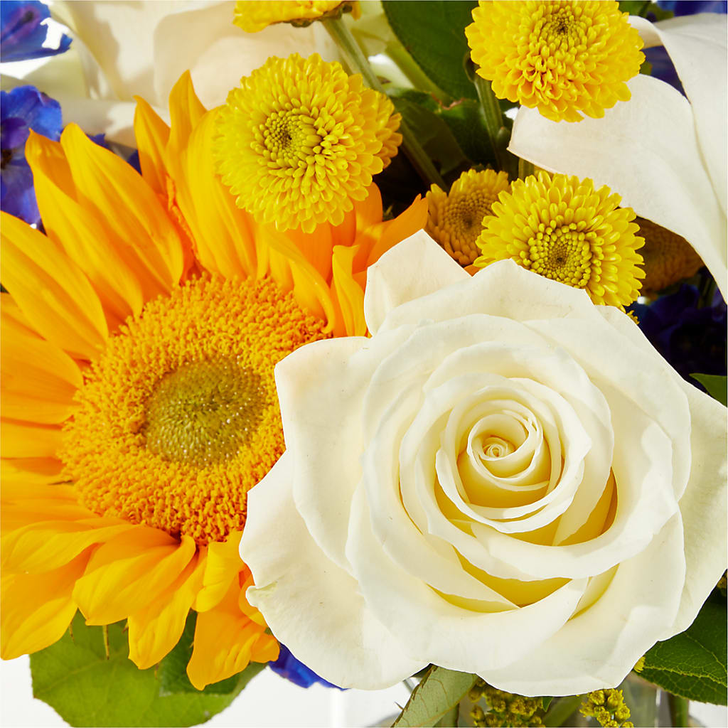 Stargazing Bouquet – KEITH'S FLOWER SHOP, Mount Gilead OH