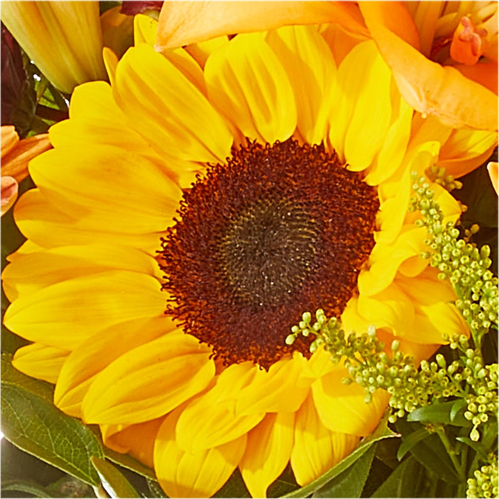 Seasons Change Bouquet – KEITH'S FLOWER SHOP, Mount Gilead OH