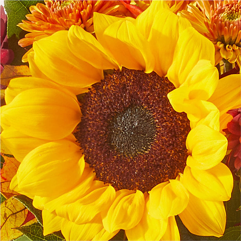 Sunny Side Bouquet – KEITH'S FLOWER SHOP, Mount Gilead OH