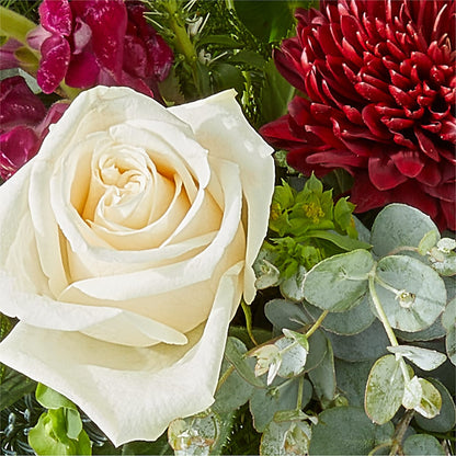 Cranberry Fizz Bouquet – KEITH'S FLOWER SHOP, Mount Gilead OH