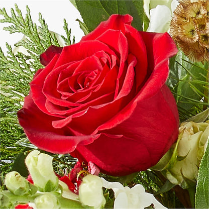 Deck the Halls Bouquet – KEITH'S FLOWER SHOP, Mount Gilead OH