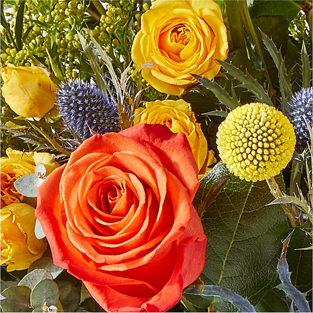 Disco Bouquet – KEITH'S FLOWER SHOP, Mount Gilead OH
