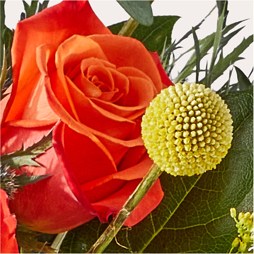 Disco Bouquet – KEITH'S FLOWER SHOP, Mount Gilead OH
