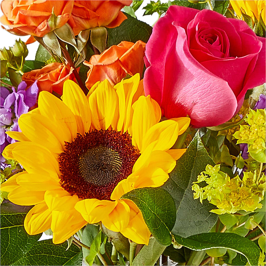 Vibrant Greetings Bouquet – KEITH'S FLOWER SHOP, Mount Gilead OH