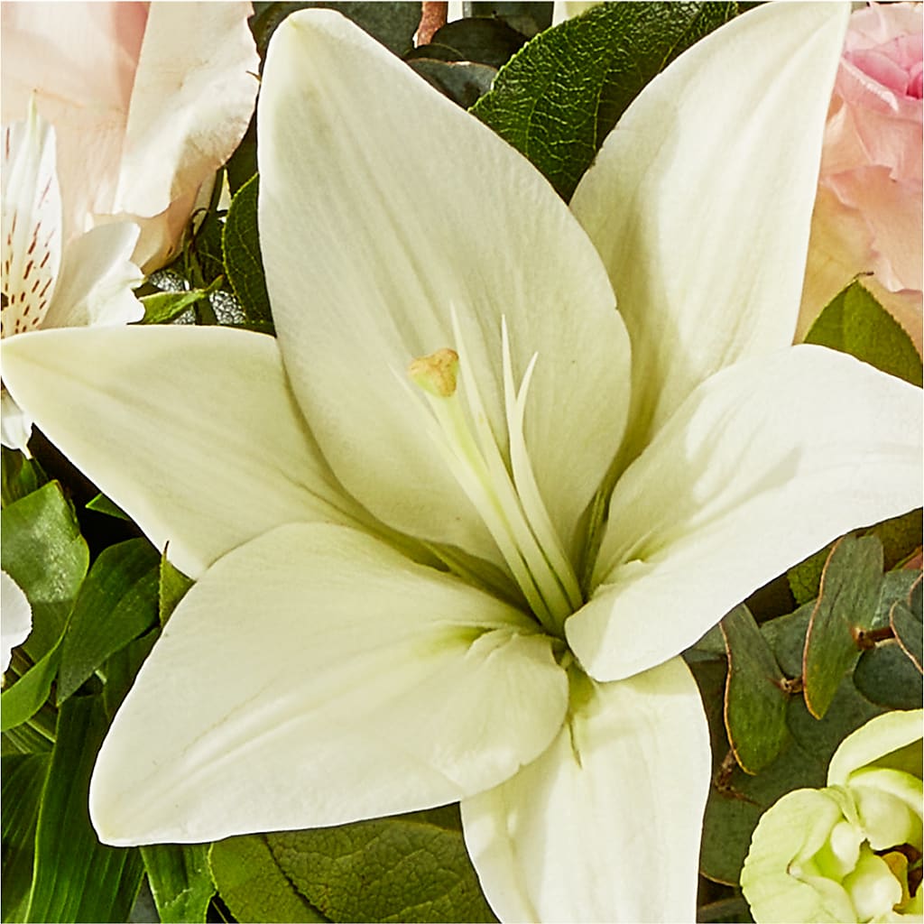 Ballet Slippers Bouquet – KEITH'S FLOWER SHOP, Mount Gilead OH