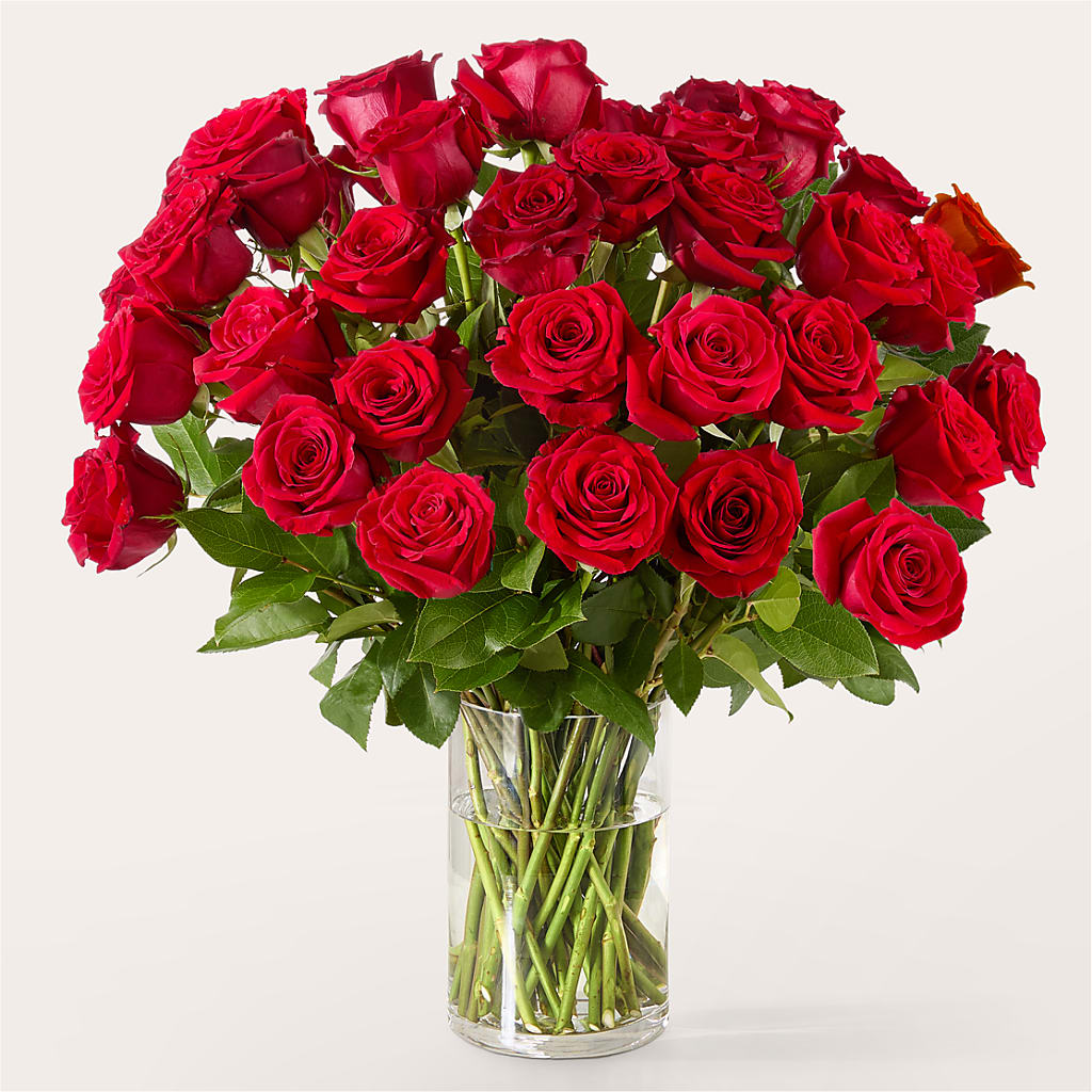 The One Red Rose Bouquet – KEITH'S FLOWER SHOP, Mount Gilead OH