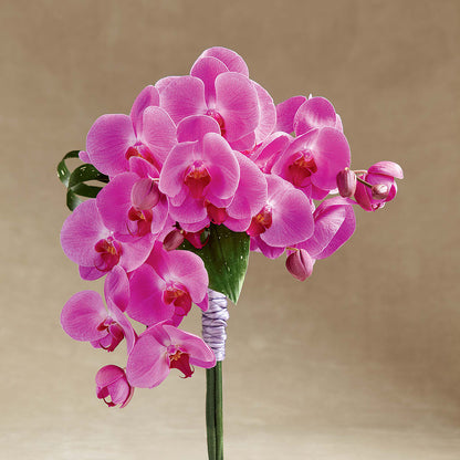 Glorious Bouquet – KEITH'S FLOWER SHOP, Mount Gilead OH