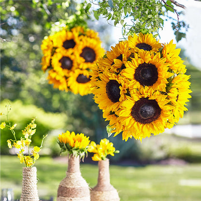 Sublime Garden Hanging Arrangement – KEITH'S FLOWER SHOP, Mount Gilead OH