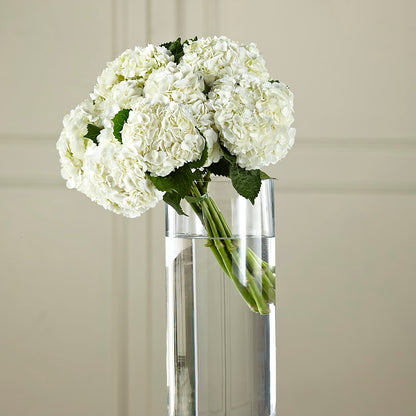 White Hydrangea Hand-Tied Bouquet – KEITH'S FLOWER SHOP, Mount Gilead OH
