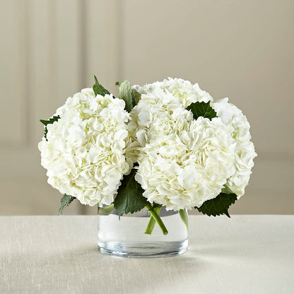 White Hydrangea Bouquet – KEITH'S FLOWER SHOP, Mount Gilead OH